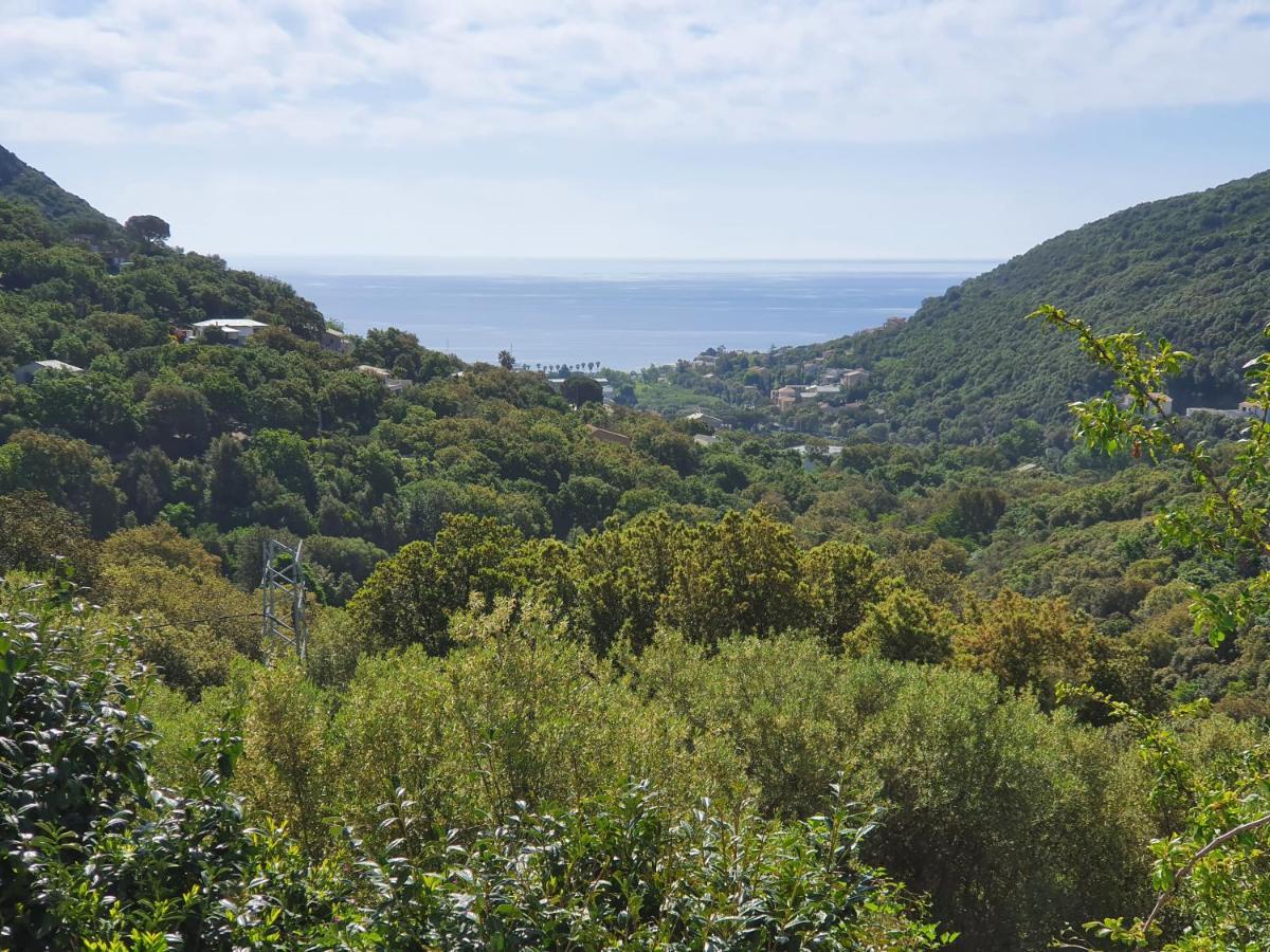 Cap Corse Uribellinu 2 Formule Petit Dejeuner Santa-Maria-di-Lota Exterior photo